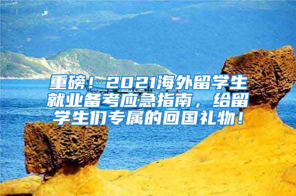 重磅！2021海外留学生就业备考应急指南，给留学生们专属的回国礼物！