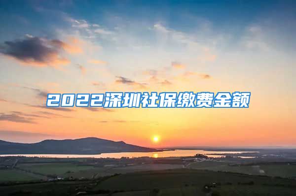 2022深圳社保缴费金额