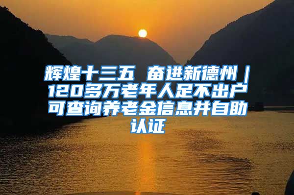 辉煌十三五 奋进新德州｜120多万老年人足不出户可查询养老金信息并自助认证