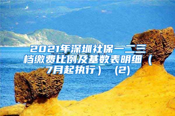 2021年深圳社保一二三档缴费比例及基数表明细（7月起执行） (2)