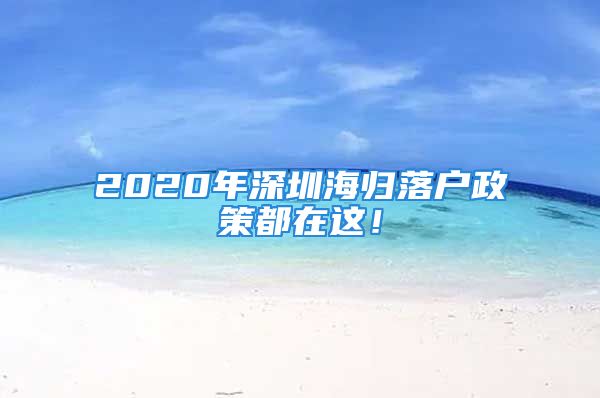 2020年深圳海归落户政策都在这！