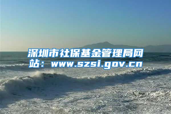 深圳市社保基金管理局网站：www.szsi.gov.cn