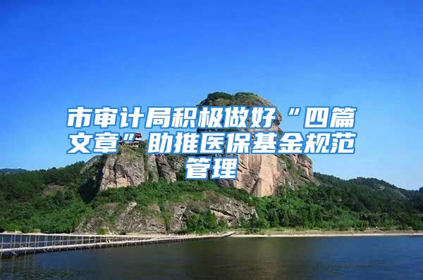 市审计局积极做好“四篇文章”助推医保基金规范管理