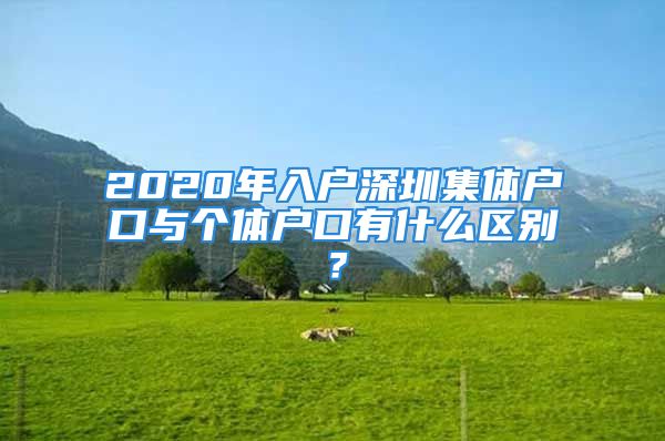 2020年入户深圳集体户口与个体户口有什么区别？