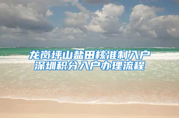 龙岗坪山盐田核准制入户深圳积分入户办理流程