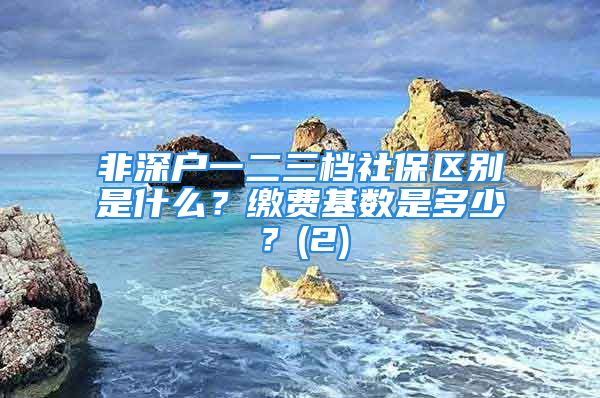 非深户一二三档社保区别是什么？缴费基数是多少？(2)