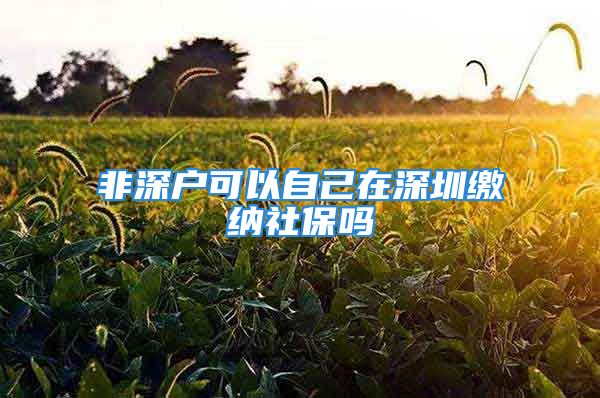 非深户可以自己在深圳缴纳社保吗