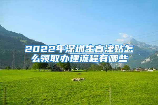 2022年深圳生育津贴怎么领取办理流程有哪些