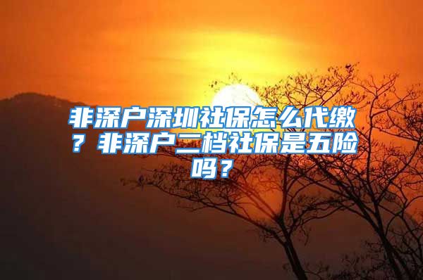 非深户深圳社保怎么代缴？非深户二档社保是五险吗？