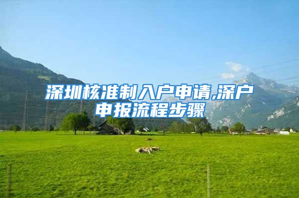 深圳核准制入户申请,深户申报流程步骤