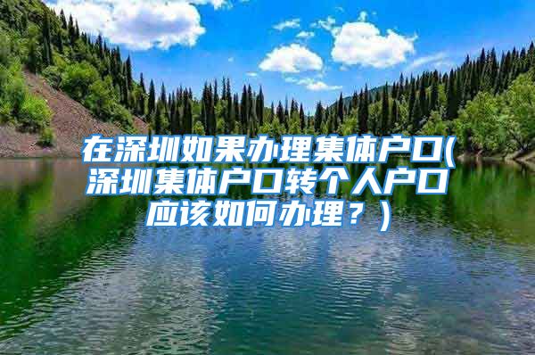 在深圳如果办理集体户口(深圳集体户口转个人户口应该如何办理？)