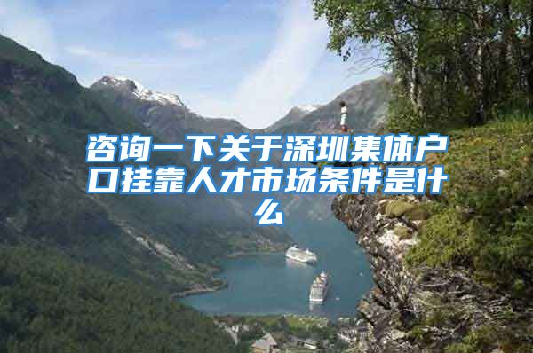 咨询一下关于深圳集体户口挂靠人才市场条件是什么