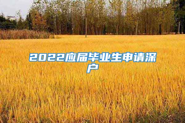 2022应届毕业生申请深户