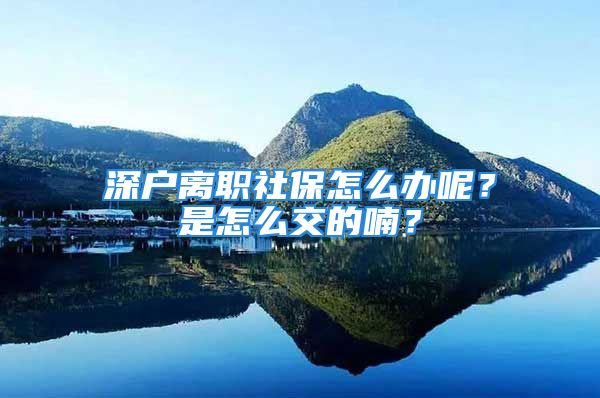 深户离职社保怎么办呢？是怎么交的喃？