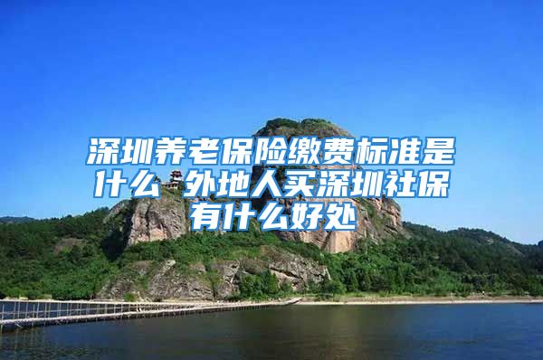 深圳养老保险缴费标准是什么 外地人买深圳社保有什么好处