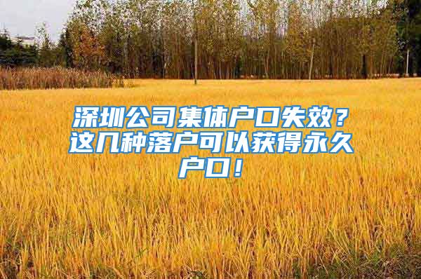 深圳公司集体户口失效？这几种落户可以获得永久户口！