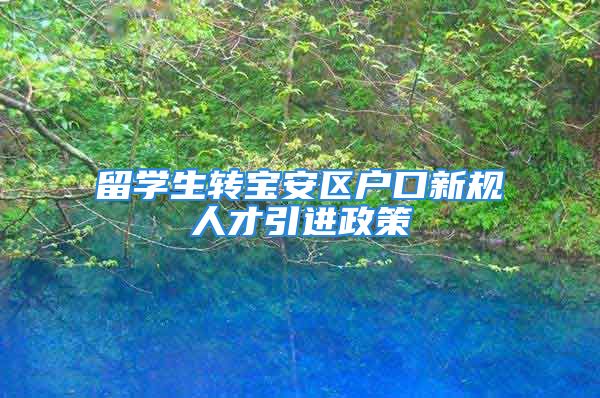 留学生转宝安区户口新规人才引进政策