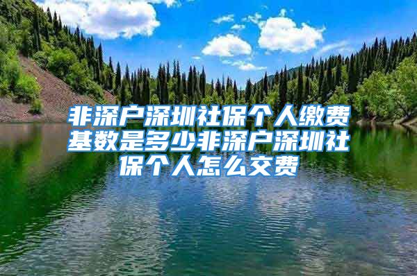 非深户深圳社保个人缴费基数是多少非深户深圳社保个人怎么交费