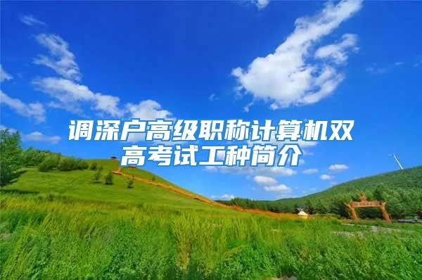 调深户高级职称计算机双高考试工种简介