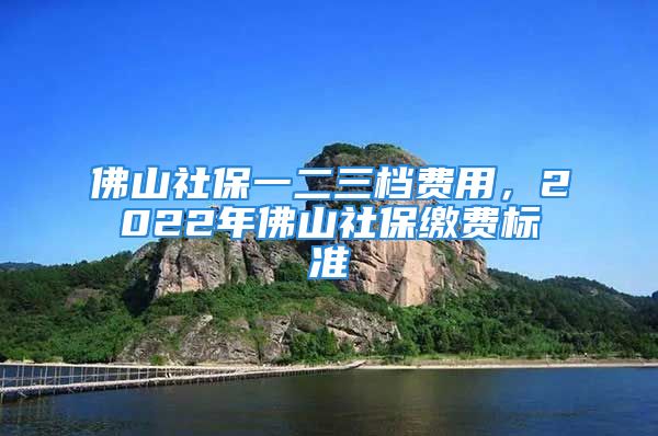 佛山社保一二三档费用，2022年佛山社保缴费标准