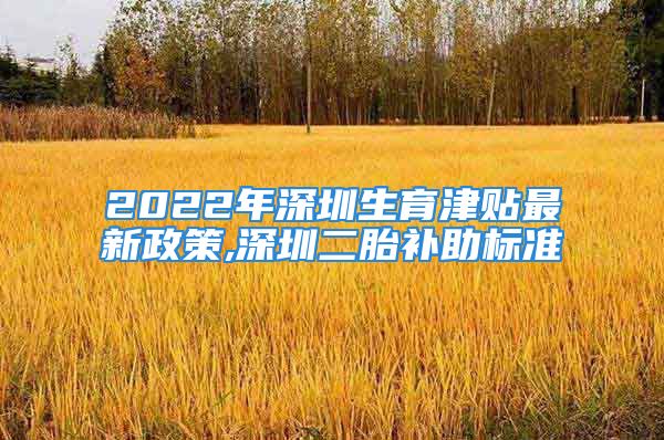 2022年深圳生育津贴最新政策,深圳二胎补助标准