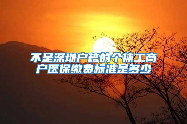 不是深圳户籍的个体工商户医保缴费标准是多少