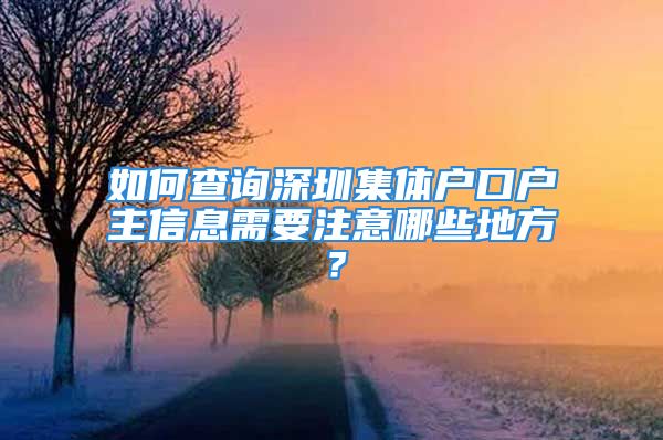 如何查询深圳集体户口户主信息需要注意哪些地方？