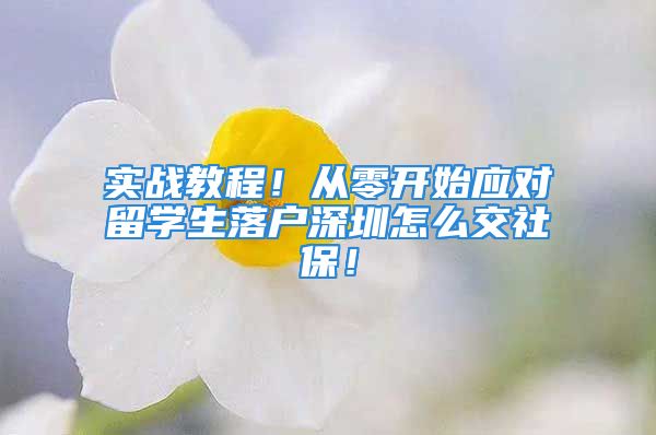 实战教程！从零开始应对留学生落户深圳怎么交社保！