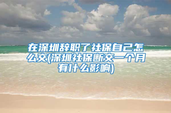 在深圳辞职了社保自己怎么交(深圳社保断交一个月有什么影响)