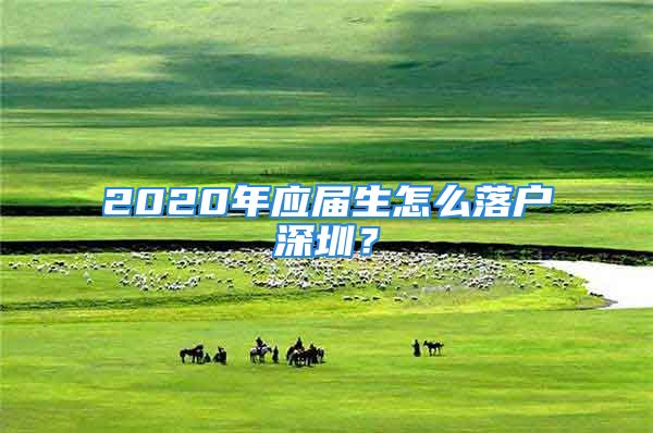 2020年应届生怎么落户深圳？