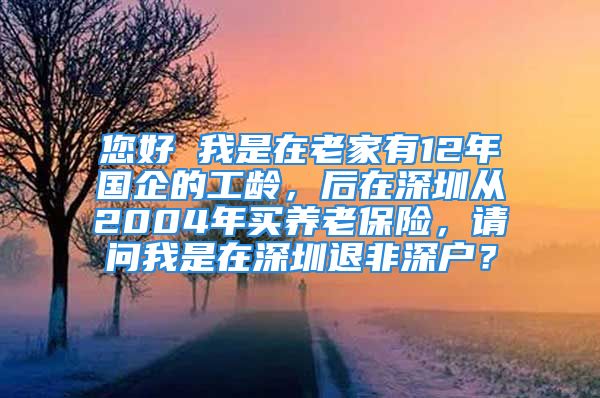 您好 我是在老家有12年国企的工龄，后在深圳从2004年买养老保险，请问我是在深圳退非深户？