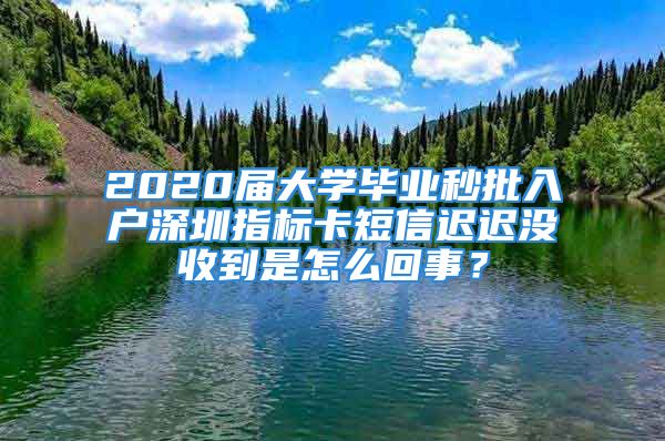 2020届大学毕业秒批入户深圳指标卡短信迟迟没收到是怎么回事？