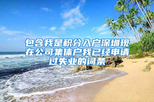 包含我是积分入户深圳现在公司集体户我已经申请过失业的词条