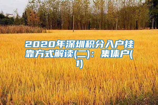 2020年深圳积分入户挂靠方式解读(二)：集体户(1)