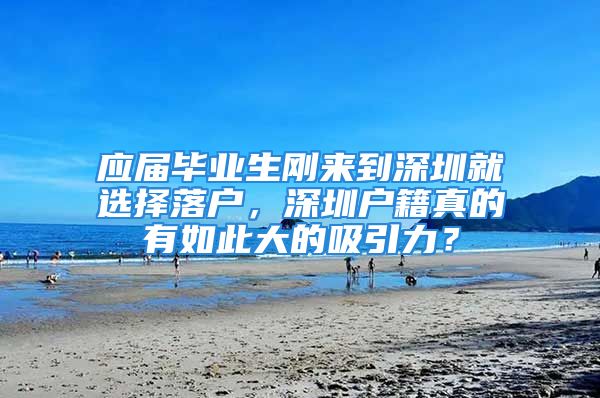 应届毕业生刚来到深圳就选择落户，深圳户籍真的有如此大的吸引力？