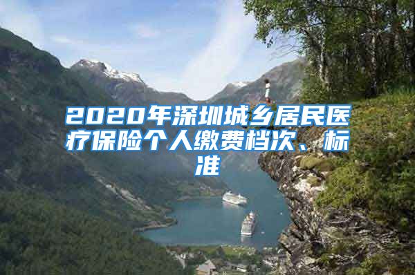 2020年深圳城乡居民医疗保险个人缴费档次、标准