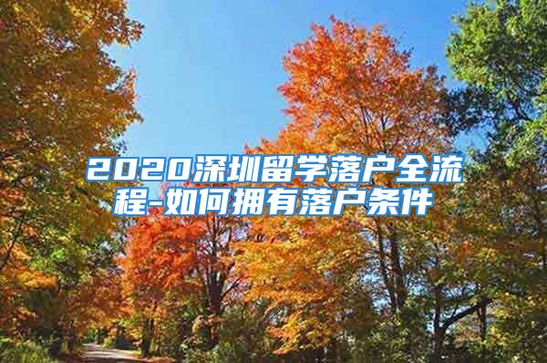 2020深圳留学落户全流程-如何拥有落户条件