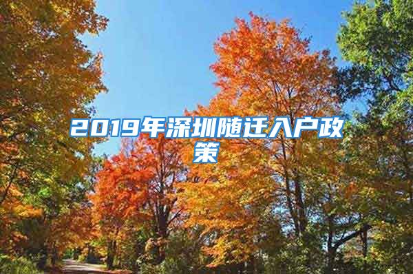 2019年深圳随迁入户政策