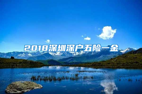 2018深圳深户五险一金