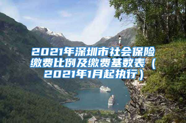 2021年深圳市社会保险缴费比例及缴费基数表（2021年1月起执行）