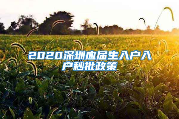 2020深圳应届生入户入户秒批政策