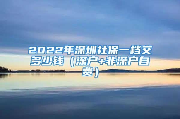 2022年深圳社保一档交多少钱（深户+非深户自费）