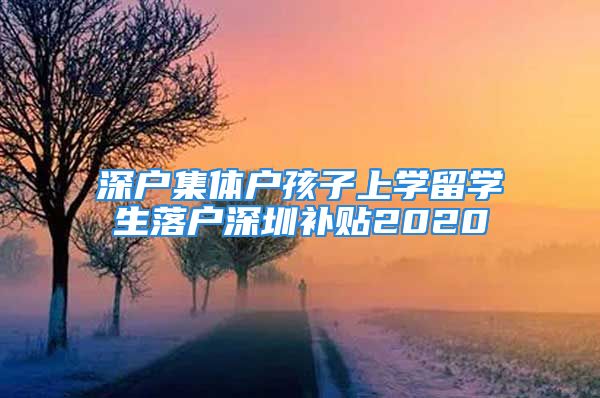 深户集体户孩子上学留学生落户深圳补贴2020