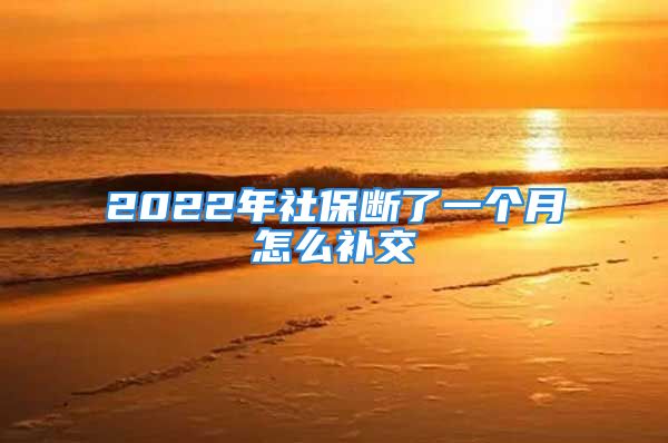 2022年社保断了一个月怎么补交