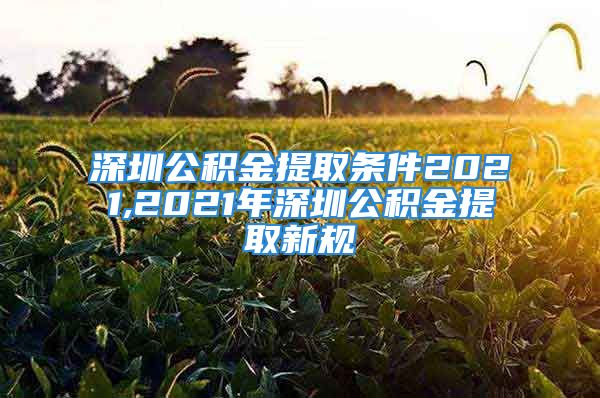 深圳公积金提取条件2021,2021年深圳公积金提取新规