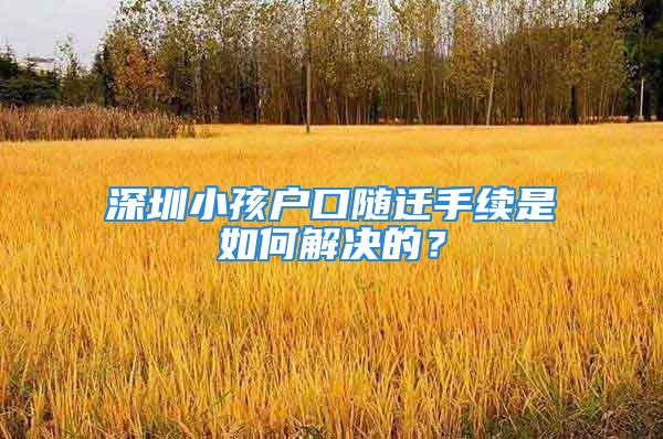 深圳小孩户口随迁手续是如何解决的？