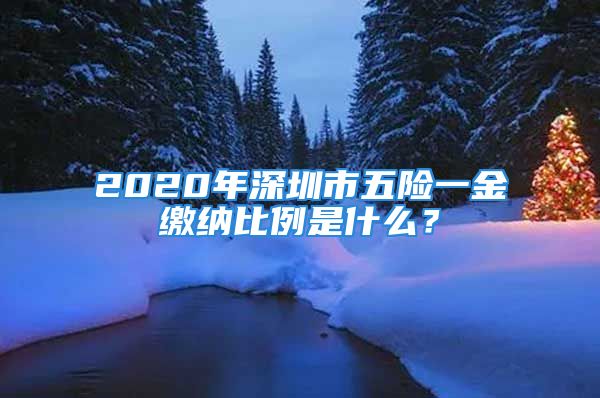 2020年深圳市五险一金缴纳比例是什么？