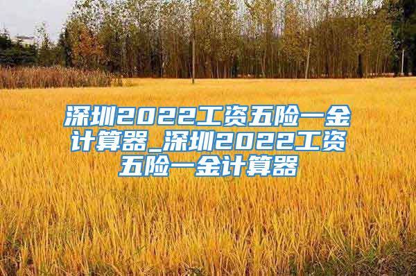 深圳2022工资五险一金计算器_深圳2022工资五险一金计算器