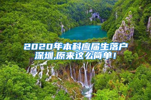 2020年本科应届生落户深圳,原来这么简单！