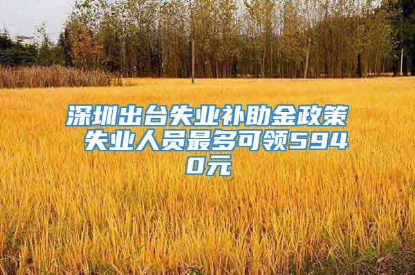 深圳出台失业补助金政策 失业人员最多可领5940元